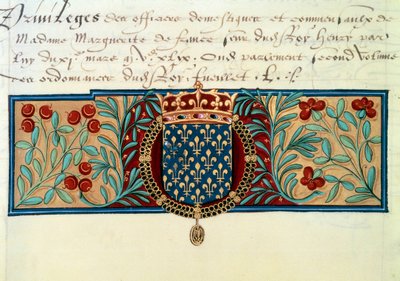 Armes de France (omgitt av halskjedet til Saint Michel-ordenen (Saint Michel) og overvunnet av den kongelige kronen) av French School