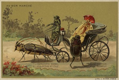 Au Bon Marche-kort med antropomorfe insekter av French School