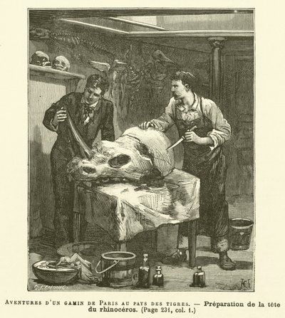 Adventures of a Boy From Paris In The Land Of The Tigers (gravering) av French School