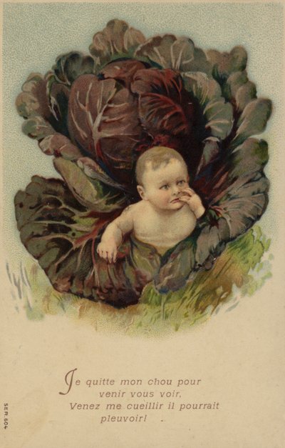 Baby som kommer ut av en kål (chromolitho) av French School