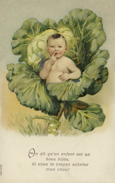 Baby i en kål (chromolitho) av French School