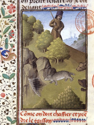 Grevlingjakt - i "" Jaktbok til Gaston Phoebus, grev av Foix, Lord of Béarn"" av French School