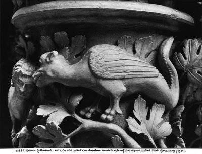 Basilisk, hovedstad fra katedralen Notre Dame i Reims (gipsstøpt av stein) av French School
