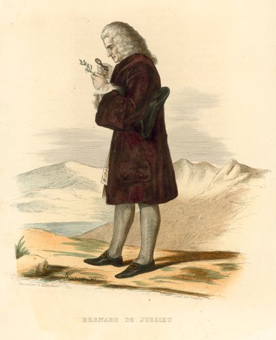 Bernard de Jussieu (farget gravering) av French School