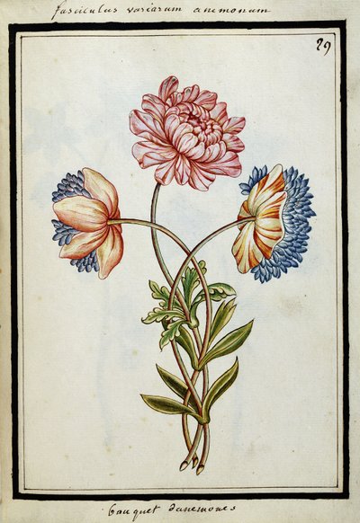 Bukett av anemoner, ca.1700 av French School