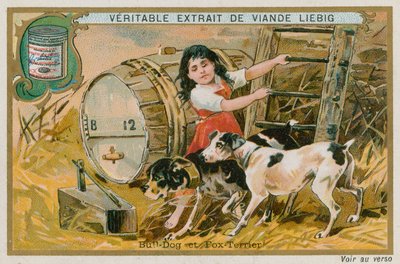 Bulldog og Fox Terrier av French School