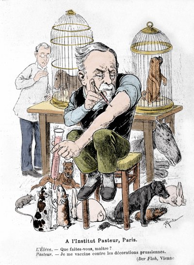 Tegneserierepresentasjon av vitenskapsmannen Louis Pasteur, oppfinneren av vaksinen mot rabies, som vaksinerer seg mot prøyssiske dekorasjoner. Publisert i "Der Floh"" av French School