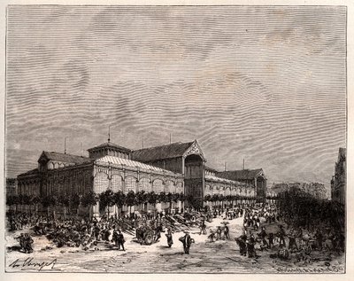 Central halles in Paris in the 19th century - engraving in “La France illustree: geographie, histoire, administration statistique” by V.A. Malt-Brown. 1884 av French School