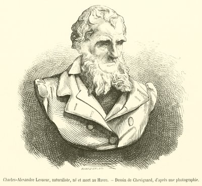 Charles-Alexandre Lesueur , naturforsker, født og døde i Le Havre (gravering) av French School