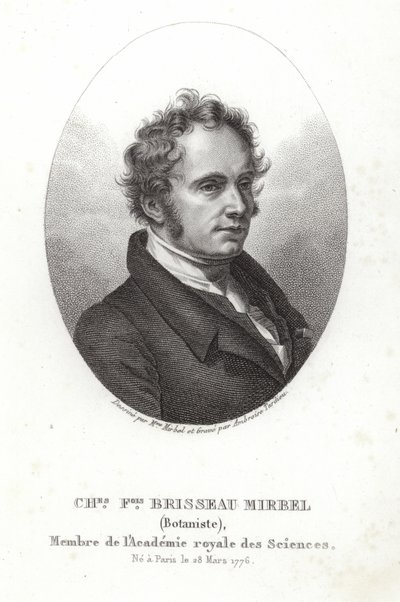 Charles-Francois Brisseau de Mirbel av French School