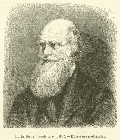Charles Darwin, decede en april 1882 (gravering) av French School