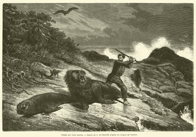 Sea Lion Hunt (gravering) av French School