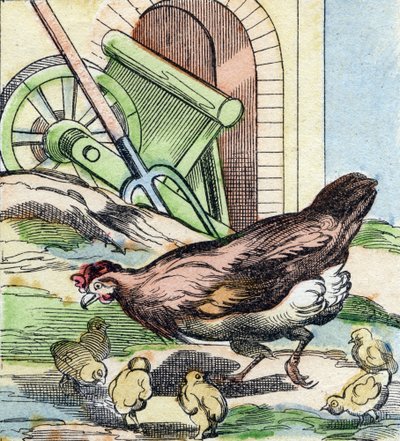 Kylling og kyllinger. Gravering i "Buffon Alphabet des Oiseaux n 2". 3. Serie N 2. Avbildning av Epinal, Epinal, sent på 1800-tallet. 16 sider. Mål: 28x21cm av French School