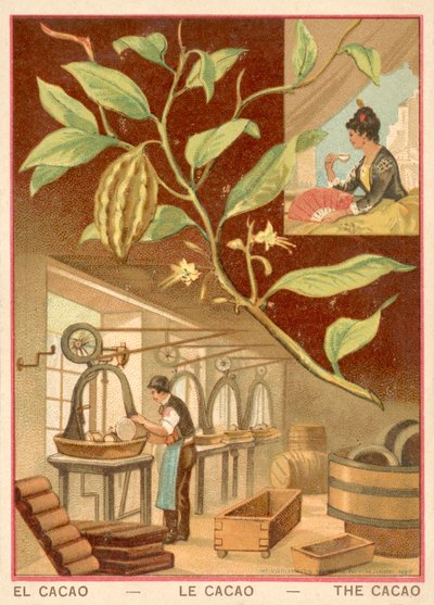 Kakao (chromolitho) av French School