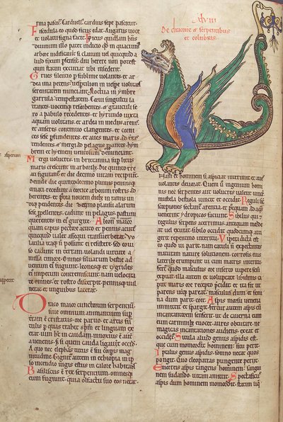 Torsk. Guelf. 1 Gud. lat. 40v, tekst med illustrasjon av en drage, fra Liber Floridus av Lambert de Saint-Omer c.1120 av French School