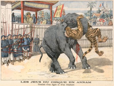 Kamp mellom en tiger og en elefant av French School