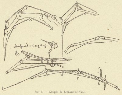 skisse av Leonardo da Vinci av French School