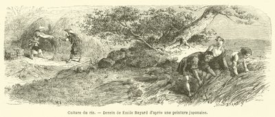 Dyrking av ris (gravering) av French School