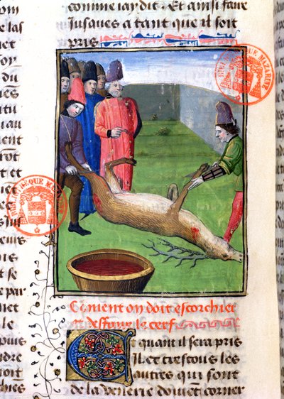 Kutte bena til en død hjort, fra Livre de la Chasse av Gaston Phebus de Foix (1331-91) av French School