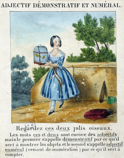 Demonstrativt og numerisk adjektiv (en jente som bærer et bur med 2 fugler) - i "" La grammaire en images"" av French School