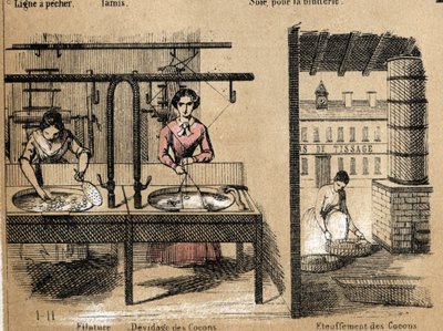 Description of the crop and silk products: workers spinning silk, removing or smothering cocoons. Plate “” la soie”” in “” les Recreations instructives”” Synoptique painting by Jules DELBRUCK, engraving from 1860. Private collection. av French School