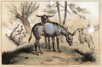 Beskrivelse av de forskjellige produktene og bruksområdene til esel: to esler i ett. Detalj av tavlen "" Eselet og dets produkter"" i "" Les Recreations instructives"" Synoptisk maleri av Jules DELBRUCK, gravering fra 1860. Privat samling. av French School
