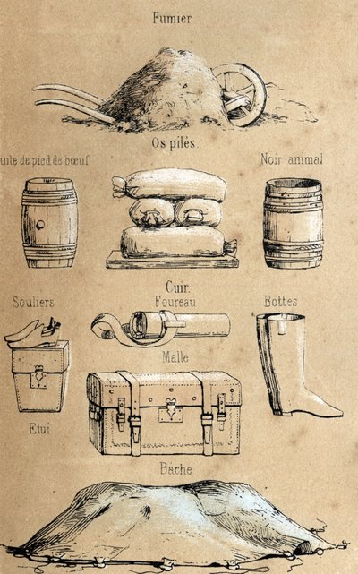 Beskrivelse av de ulike produktene og bruksområdene til ku: alle slags gjenstander laget av ku (fotolje av okse, lærgjenstander, gjødsel). Plate "" La coache et ses produits"" i "" les Recreations instructives"" Synoptisk maleri av Jules DELBRUCK, graverin av French School