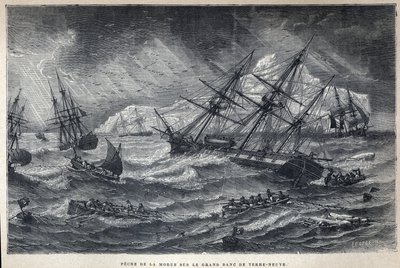 Discovered Canada: Cod fishing on the Grand Bank of Newfoundland, Newfoundland. Engraving from the end of the 19th century in “La nouvelle France” by Eugene Guenin. av French School