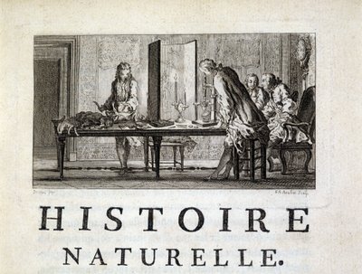 Disseksjon av dyr - i "" Naturlig, generell og spesiell historie"" av Buffon av French School