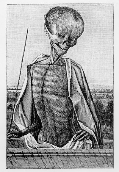 Doctor Death, fra en timebok, illustrasjon fra vitenskap og litteratur i middelalderen og renessansen, skrevet og gravert av Paul Lacroix, 1878 av French School