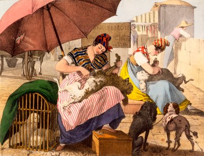 Hundefrisør, 1820 av French School