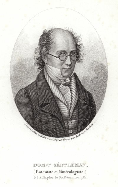 Dominique Sebastion Leman av French School