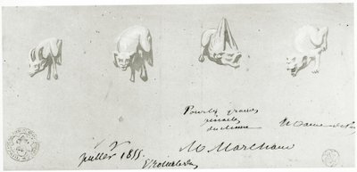 Tegning for restaurering av gargoylene til Notre Dame, 1855 av French School