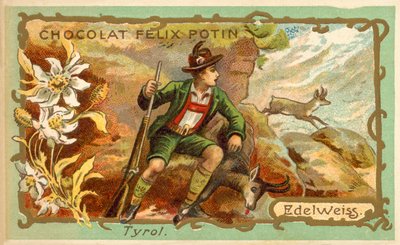Edelweiss, Tyrol (chromolitho) av French School
