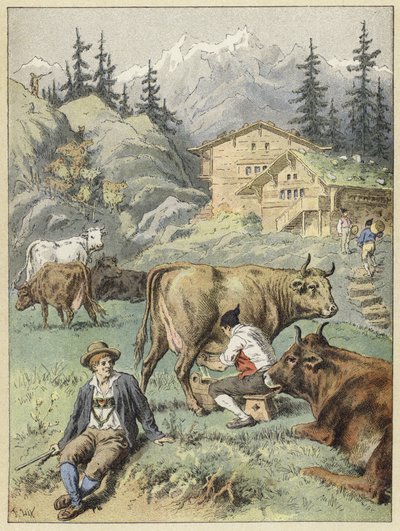 Abendliches Melken in der Nähe der Chalets von French School