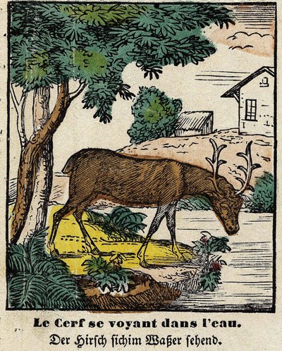 Fables de La Fontaine: hjorten ser seg selv i vannet. Bilde av Epinal, første halvdel av 1800-tallet av French School