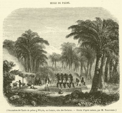 Produksjon av palmeolje i Whyda, Guinea, Slavekysten (gravering) av French School