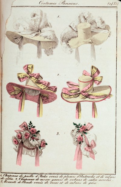 Mote, Frankrike av French School