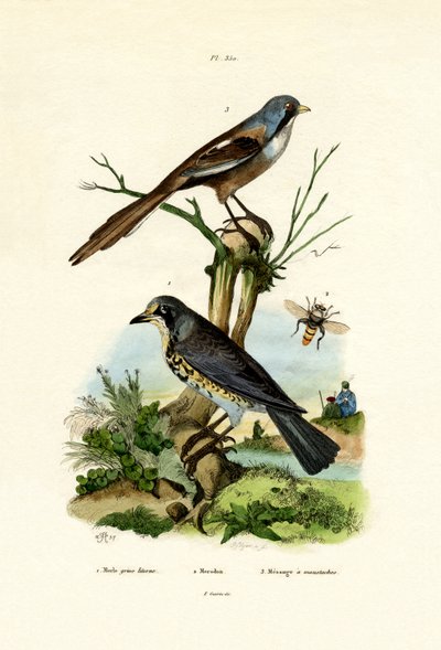 Feltfart, 1833-39 av French School