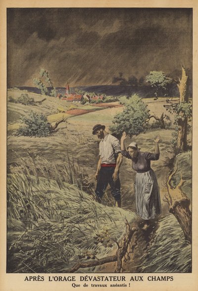 Felter ødelagt av et tordenvær i Frankrike (farge litho) av French School