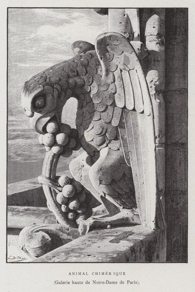 Figur av et kimærisk dyr, fra det øvre galleriet i Notre Dame de Paris (litho) av French School