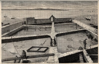Fiskeoppdrett i Concarneau - Bretagne - Establishment de pisciculture - Concarneau - Finistere - Bretagne - gravering i "" PATRIE" - BILDEKRAV BESKRIVELSE AV FRANKRIKE I 6 BIND AV LUCIEN HUARD - slutten av 1800-tallet av French School