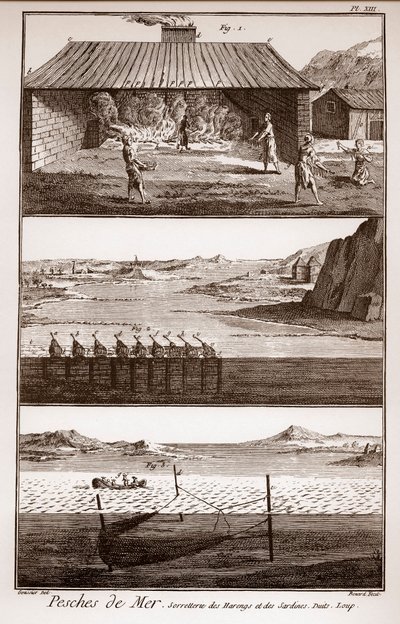 Fiske, sild og sardiner - Peches de Mer - Sorretterie des herring et des sardines - "" La Grande Encyclopédie, ou Dictionnaire Raisonne des Sciences, des Arts et des Metiers"" (Encyclopedia or Dictionary of the Sciences, Arts and Professions) av Deni av French School