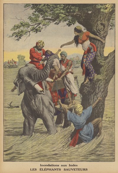 Flom i India (farge litho) av French School