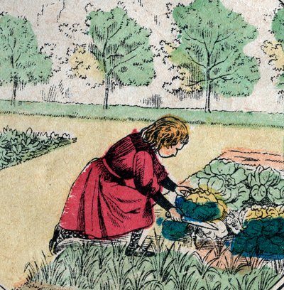 Fransk tro: En liten jente, som tror at babyer er født i kål eller roser, skjærer spirene til en grønnsakshage - Epinalt bilde - 1800-tallet (gravering) av French School