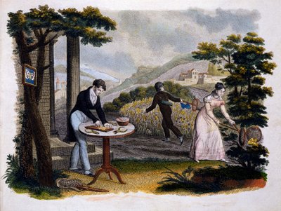 Frontispice fra Les Papillons... av Eugene Balland (1796-c.1850), utgitt av P. Blanchard, Lecerf, Paris, 1823 (fargegravering) av French School