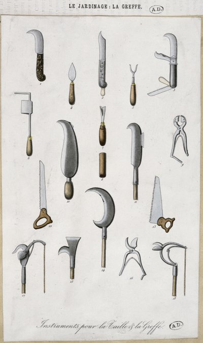 Hageredskaper for poding og beskjæring (fargegravering) av French School