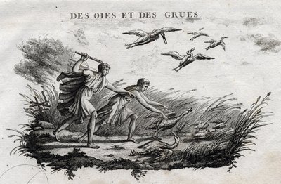 Gjess og traner - Fable d