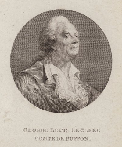 Georges-Louis Leclerc, Comte de Buffon, fransk naturforsker (gravering) av French School
