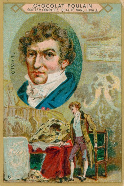 George Cuvier av French School
